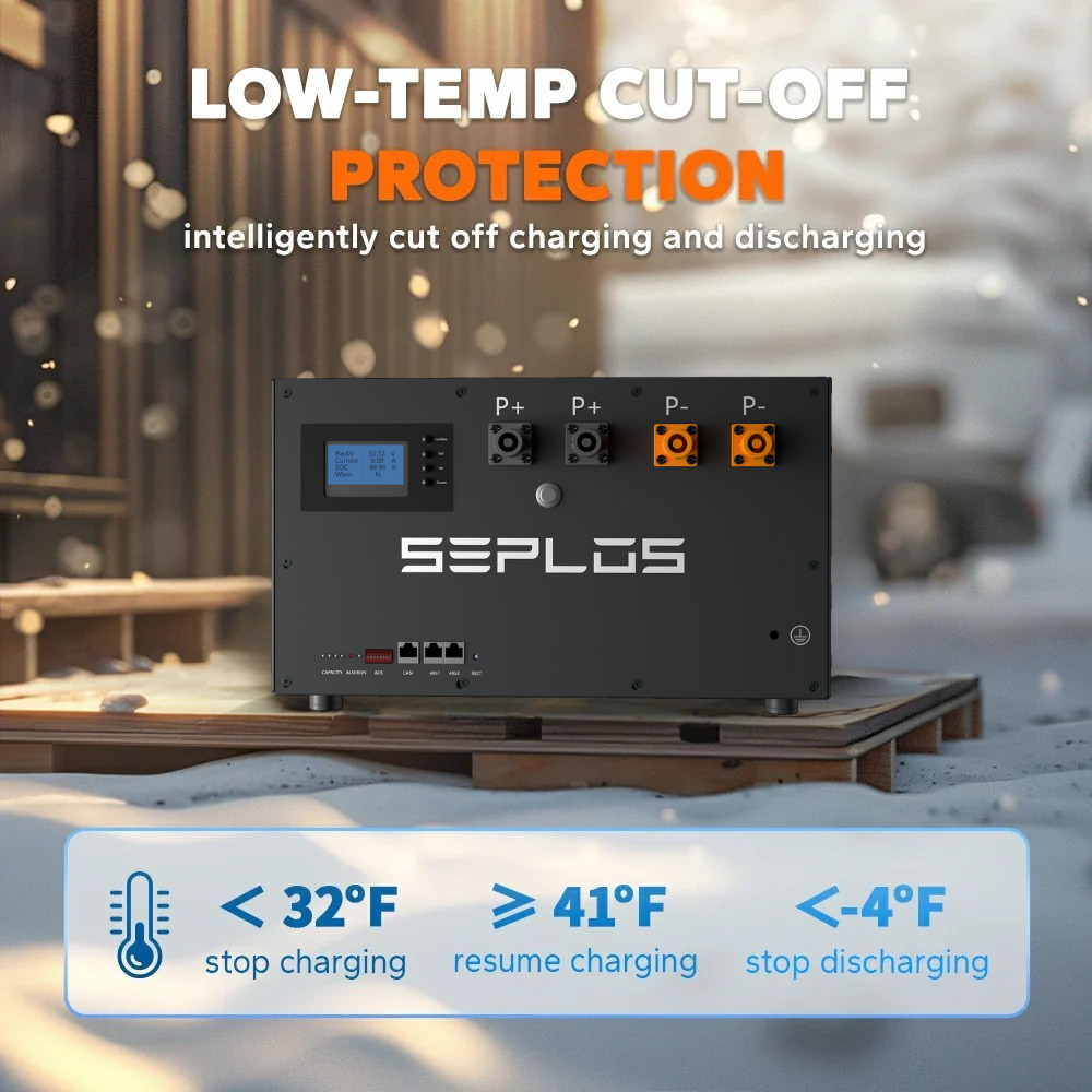 Seplos 51.2V 280Ah 14.3kwh Mason 280 Rack Mount Battery Pack with 10A Active Balancer